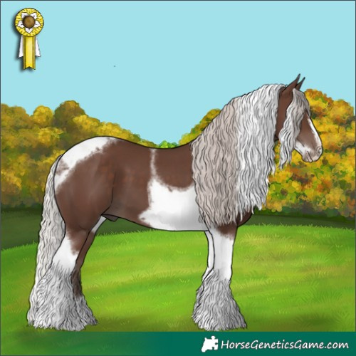 Horse Color:Silver Black Tobiano Frame 