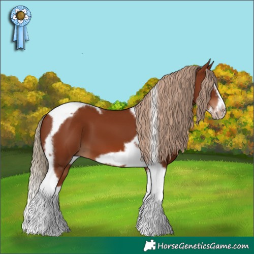 Horse Color:Chestnut Splash Tobiano Frame