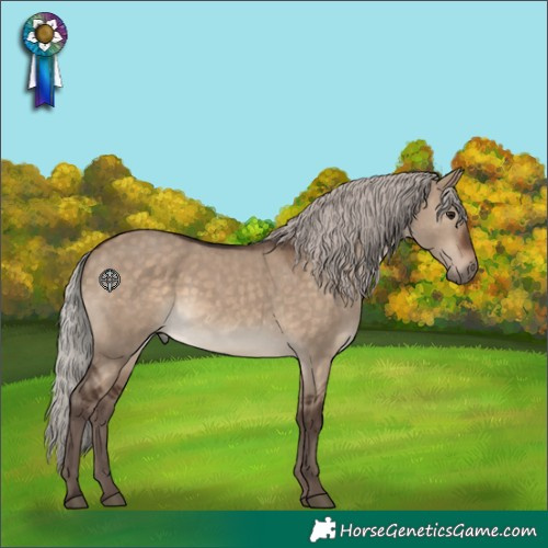 Horse Color:Silver Brown Dun