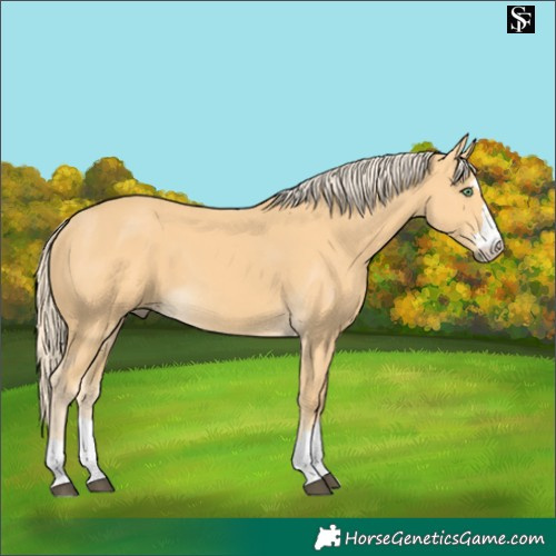 Horse Color:Pseudo Palomino 