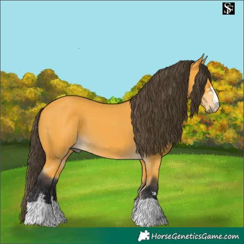 Horse Color:Pseudo Buckskin 