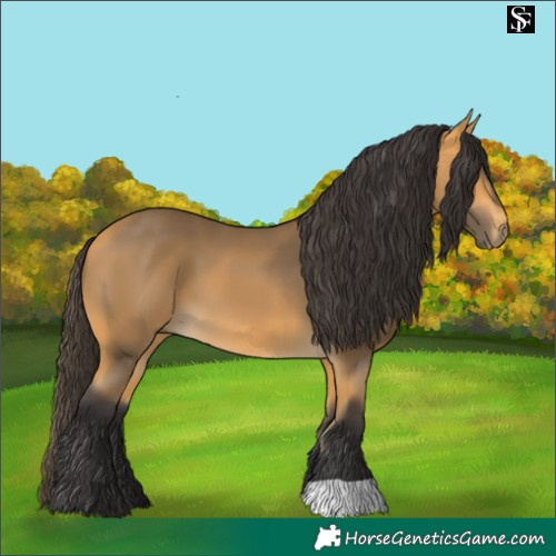 Horse Color:Pseudo Buckskin