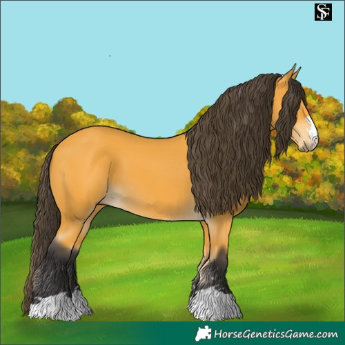 Horse Color:Pseudo Buckskin 