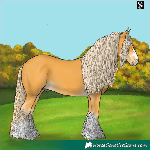 Horse Color:Pseudo Palomino 