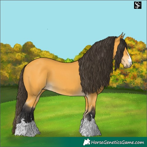 Horse Color:Pseudo Buckskin 