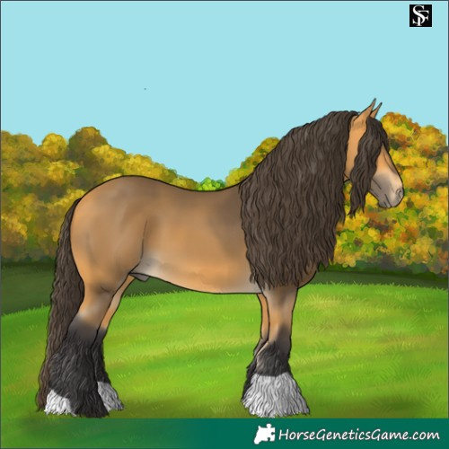 Horse Color:Pseudo Buckskin 