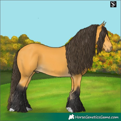 Horse Color:Pseudo Buckskin 