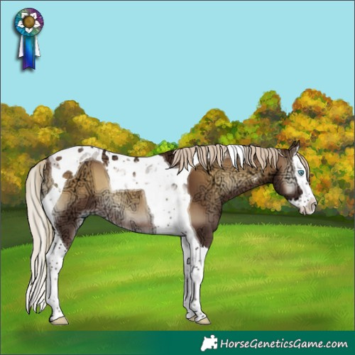 Horse Color:Chocolate Palomino Ice Onyx Splash Tobiano Rabicano 