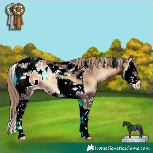 Horse Color:Plaid  Liver Red Onyx Splash Tobiano Appaloosa 