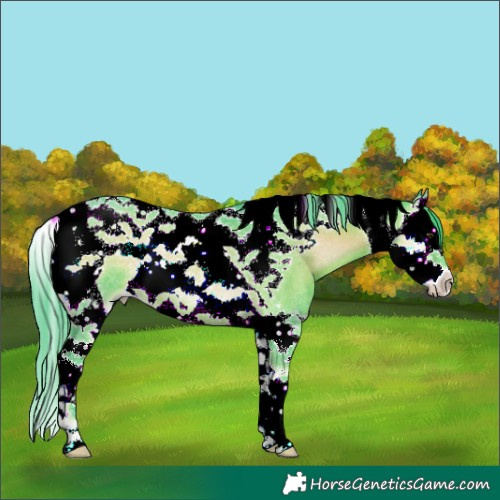 Horse Color:Watercolor Liver Red Onyx Splash Tobiano Rabicano