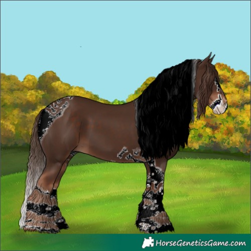 Horse Color:Liver Chestnut Splash Tobiano