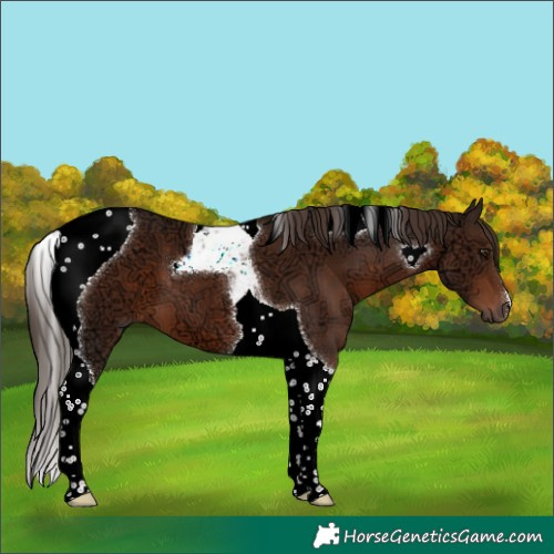 Horse Color:Liver Chestnut Ice Tobiano 