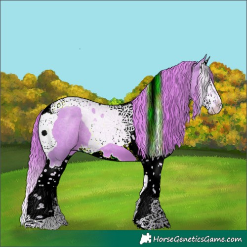 Horse Color:Watercolor Liver Red Dun Splash Tobiano
