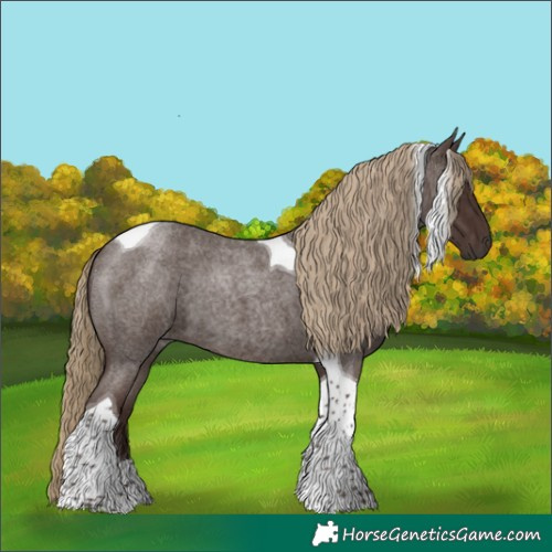 Horse Color:Liver Red Roan Tobiano