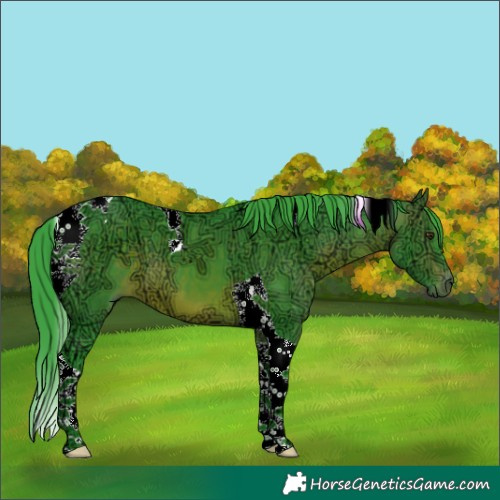 Horse Color:Watercolor Brown Ice Mushroom Tobiano