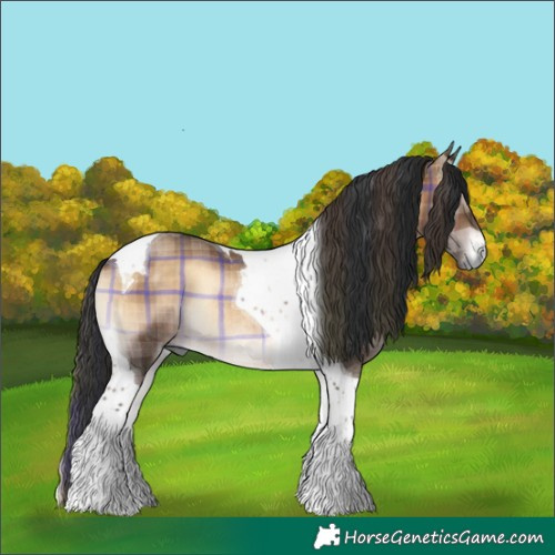 Horse Color:Plaid  Brown Onyx Tobiano Rabicano 