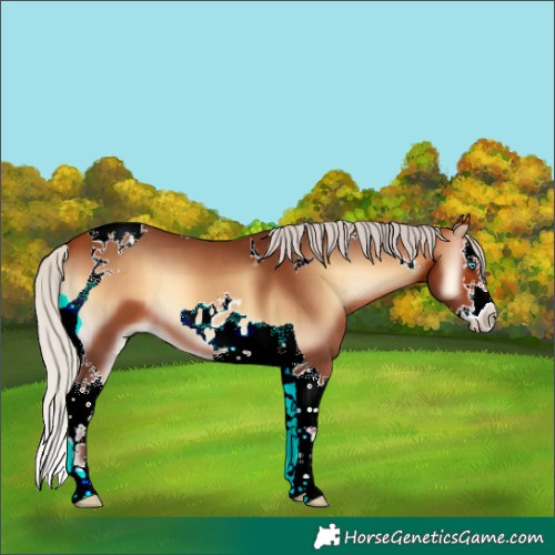 Horse Color:Silver Bay Onyx Splash Tobiano