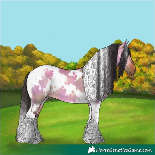 Horse Color:White Spotted Bay Dun Tobiano 