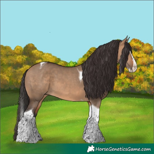 Horse Color:Bay Dun Splash Tobiano 