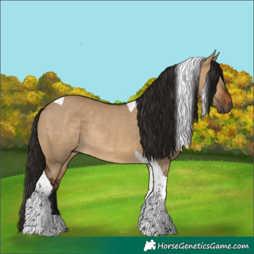 Horse Color:Gray Bay Dun Tobiano Rabicano