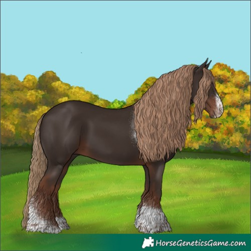 Horse Color:Liver Chestnut Tobiano Frame