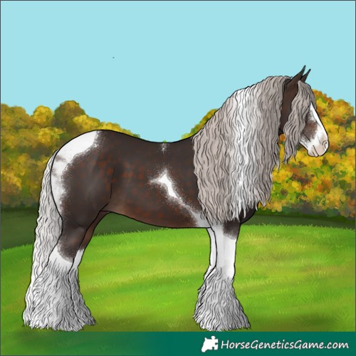 Horse Color:Silver Brown Splash Tobiano