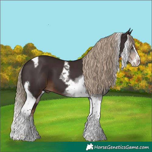 Horse Color:Liver Chestnut Splash Tobiano Frame