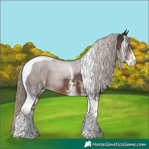 Horse Color:White Spotted Liver Chestnut Tobiano Rabicano