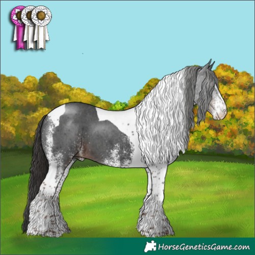 Horse Color:White Spotted Liver Chestnut Tobiano