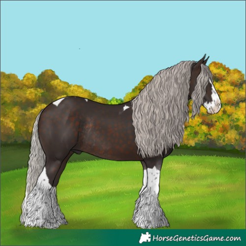 Horse Color:Silver Brown Splash Tobiano Rabicano