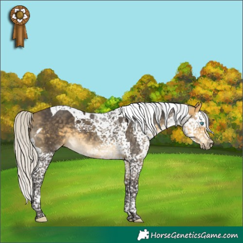 Horse Color:Silver Buckskin Splash Tobiano 