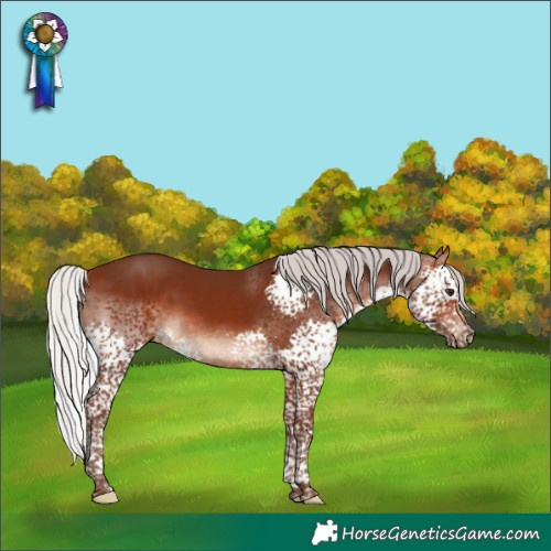 Horse Color:Silver Brown Splash Tobiano Rabicano