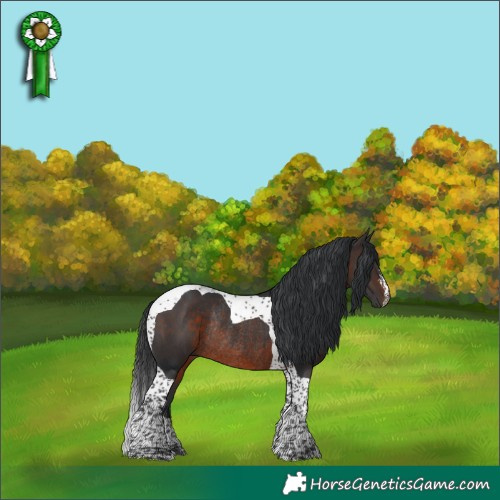 Horse Color:Brown Tobiano Rabicano