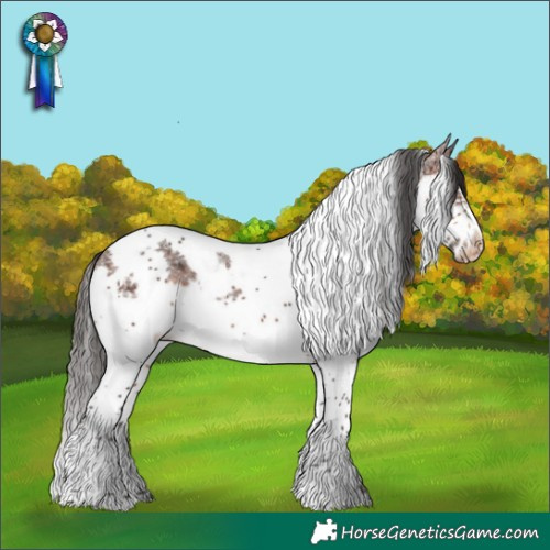 Horse Color:Brown Splash Tobiano Frame Appaloosa