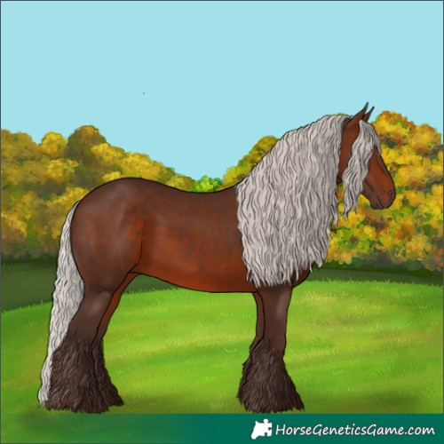 Horse Color:Silver Brown