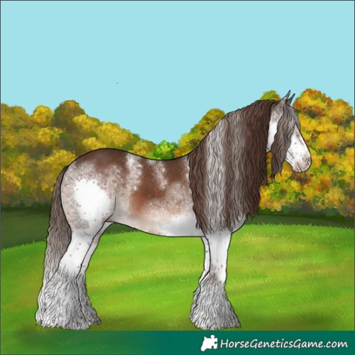 Horse Color:Powder White Liver Chestnut Splash Tobiano Frame
