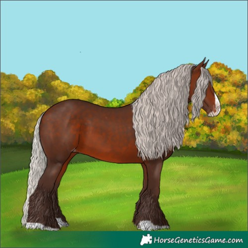 Horse Color:Silver Brown Splash Appaloosa