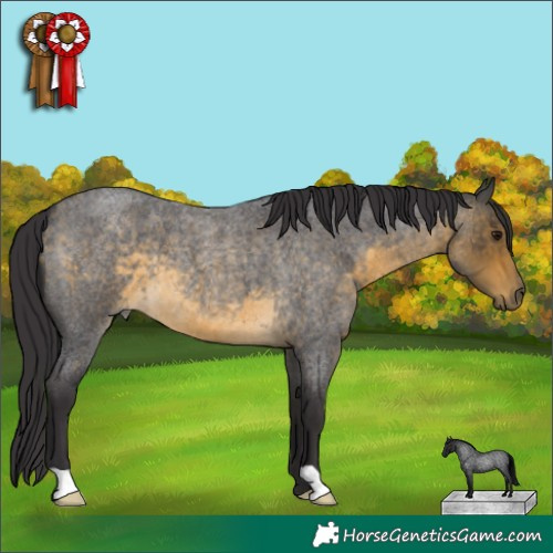 Horse Color:Buckskin Roan