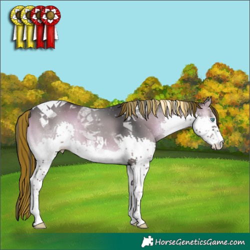 Horse Color:Painted Blue Onyx Splash Tobiano