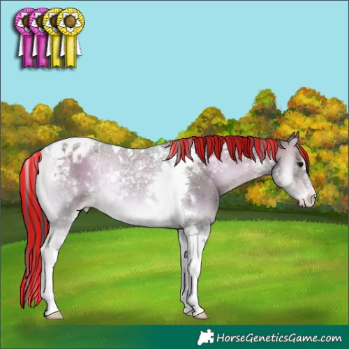 Horse Color:Platinum Painted Brown Onyx Tobiano Appaloosa
