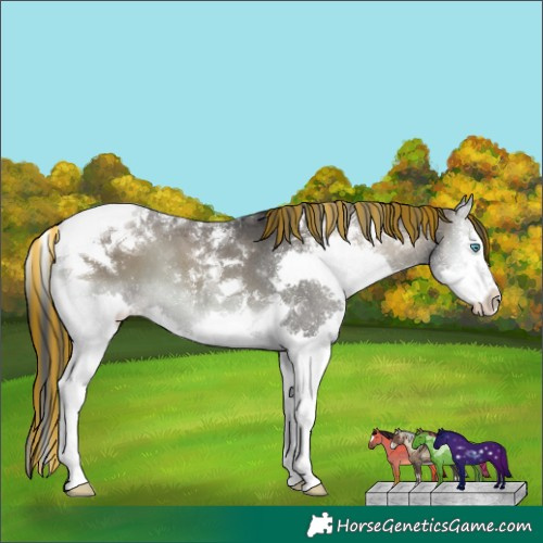 Horse Color:Platinum Painted Blue Onyx Splash Tobiano