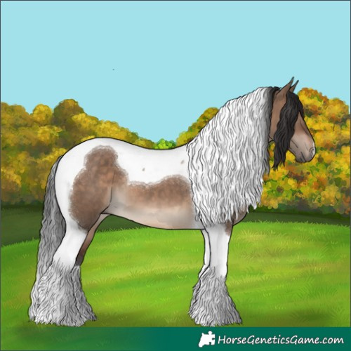 Horse Color:Brown Dun Tobiano