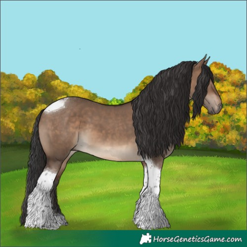 Horse Color:Brown Dun Tobiano