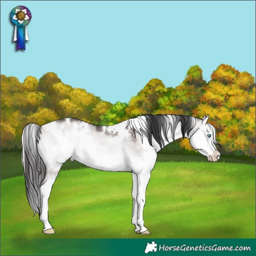 Horse Color:Platinum White Spotted Brown Onyx Splash 