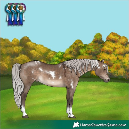 Horse Color:White Spotted Silver Brown Dun Tobiano