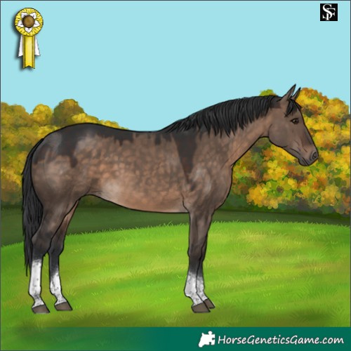 Horse Color:Brown Dun Tobiano 