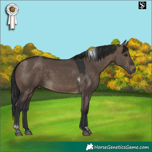 Horse Color:Brown Dun Tobiano 