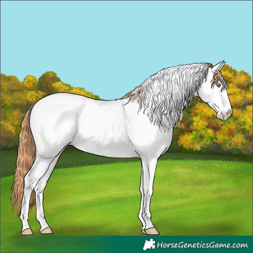 Horse Color:Gold Champagne Dun Tobiano Near Fewspot Rabicano