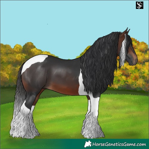 Horse Color:Brown Tobiano 