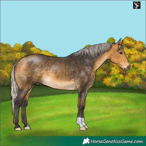 Horse Color:Silver Buckskin 